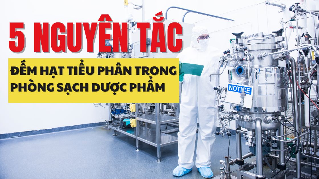 5 nguyên tắc đếm hạt tiểu phân