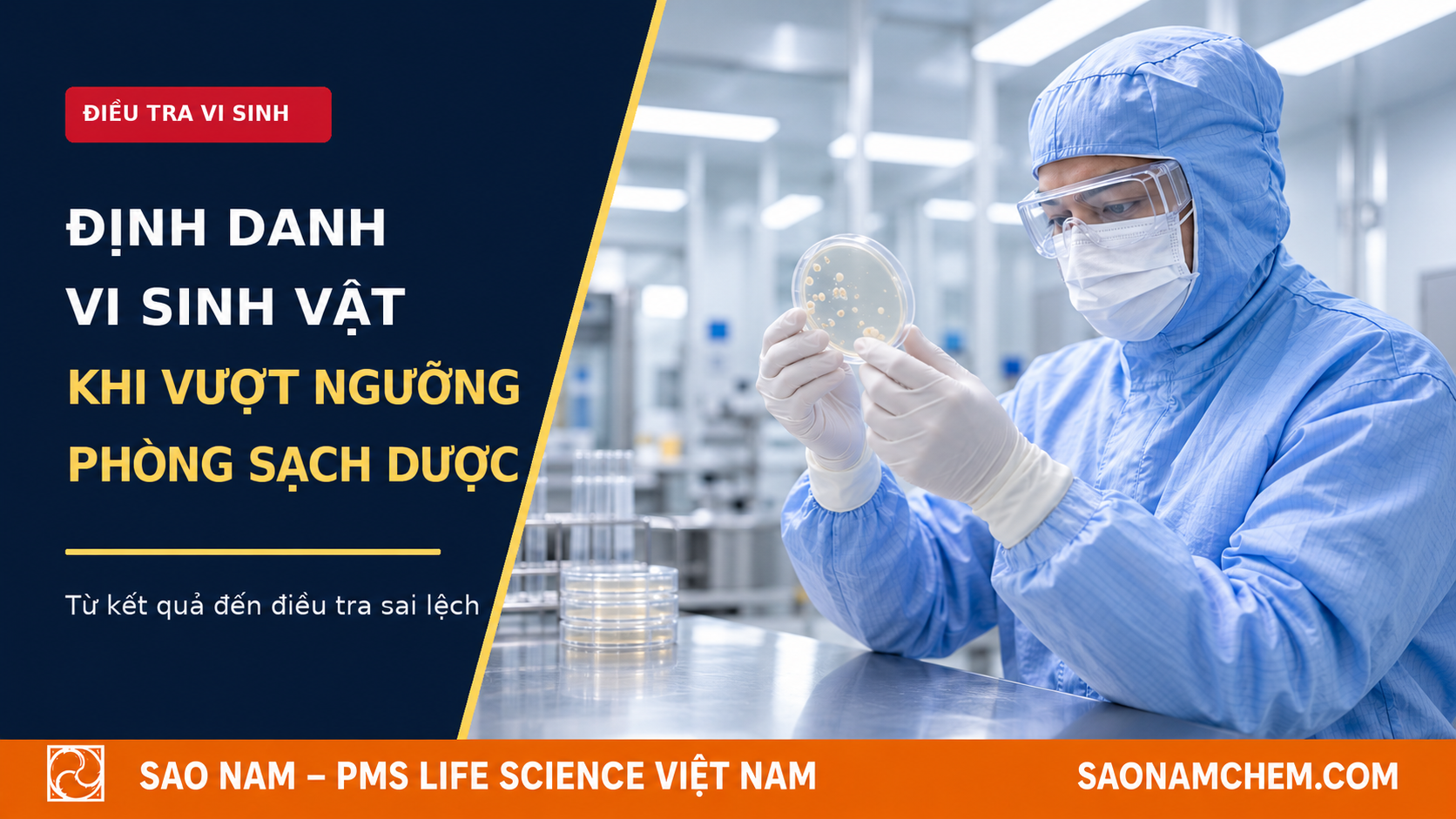 Định danh vi sinh khi điều tra sai lệch: chọn mẫu, giữ chủng và đánh giá bằng chứng